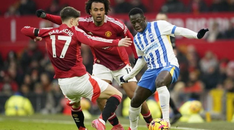 Perjalanan Karier Yankuba Minteh: Dari Gambia ke Premier League Bersama Brighton