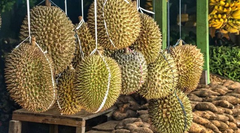 Benarkah Durian Bisa Meningkatkan Kolesterol? Ini Alasannya…