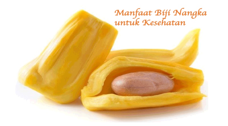 Penyakit Apa Saja yang Dapat Diobati dengan Biji Nangka? Berikut lima daftarnya.